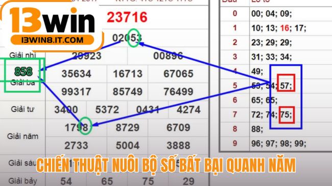 Chiến thuật nuôi số kết hợp kế hoạch vào tiền bài bản
